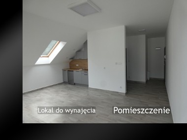 Lokal do wynajęcia-1