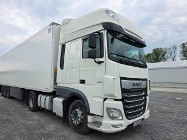 MAN xf