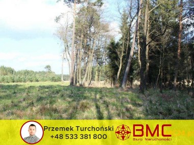 Działka leśna 1.62 ha - Mikołeska-1