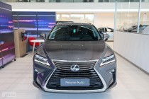 Lexus RX IV 200t / 300 Elite