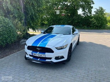 Ford Mustang VI Ford Mustang 5.0 2015r 50Years Edition-1