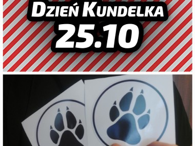 25.10 DZIEŃ KUNDELKA - naklejki charytatywne-1