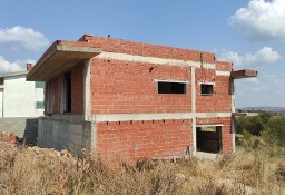 Dom Algoso, Campo De Víboras E Uva