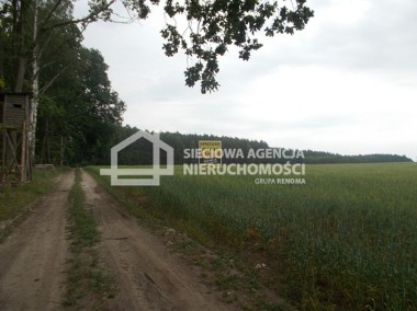 Działka rolno-leśna w Mszanie pow. świecki-1