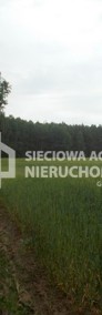 Działka rolno-leśna w Mszanie pow. świecki-3