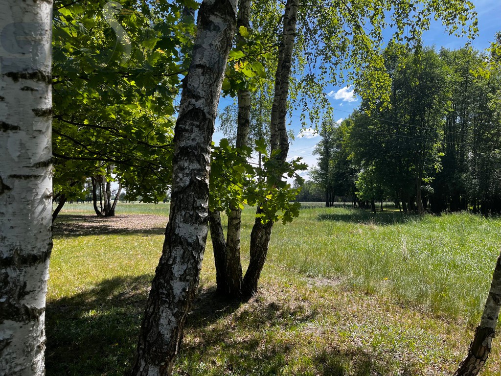 Działka rolna 6,5 ha - grunty orne Arkadia ok Nieborowa 0 % prowizji - Widok 5