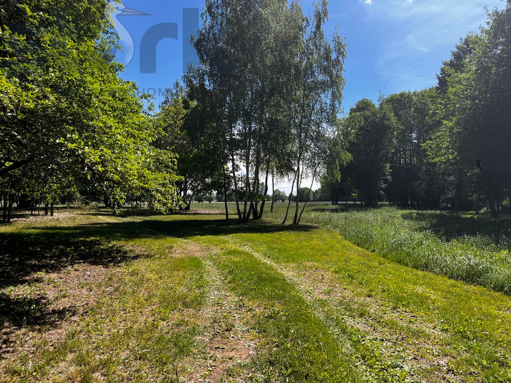 Działka rolna 6,5 ha - grunty orne Arkadia ok Nieborowa 0 % prowizji - Widok 6