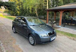 Skoda Fabia I Salon PL