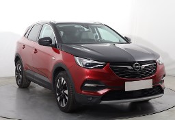 Opel Inny Opel , Salon Polska, 1. Właściciel, Serwis ASO, Automat, VAT 23%,