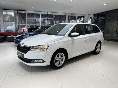 Skoda Fabia III Ambition, PDC, Tempomat, Salon PL, 1-wł, FV-23%, gwarancja, DOSTAWA-1