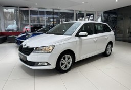 Skoda Fabia III Ambition, PDC, Tempomat, Salon PL, 1-wł, FV-23%, gwarancja, DOSTAWA