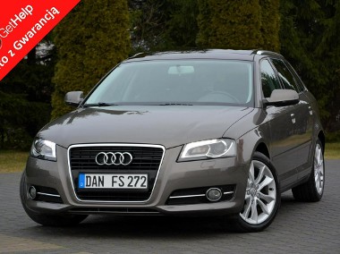 Audi A3 II (8P) 2.0TDI(140KM) Bi-xenon Ledy Panorama DSG Alu Aso audi-1