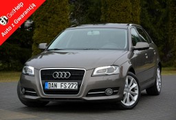 Audi A3 II (8P) 2.0TDI(140KM) Bi-xenon Ledy Panorama DSG Alu Aso audi