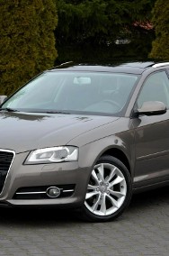 Audi A3 II (8P) 2.0TDI(140KM) Bi-xenon Ledy Panorama DSG Alu Aso audi-2