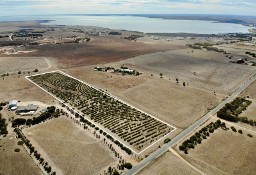 Działka inna Streaky Bay