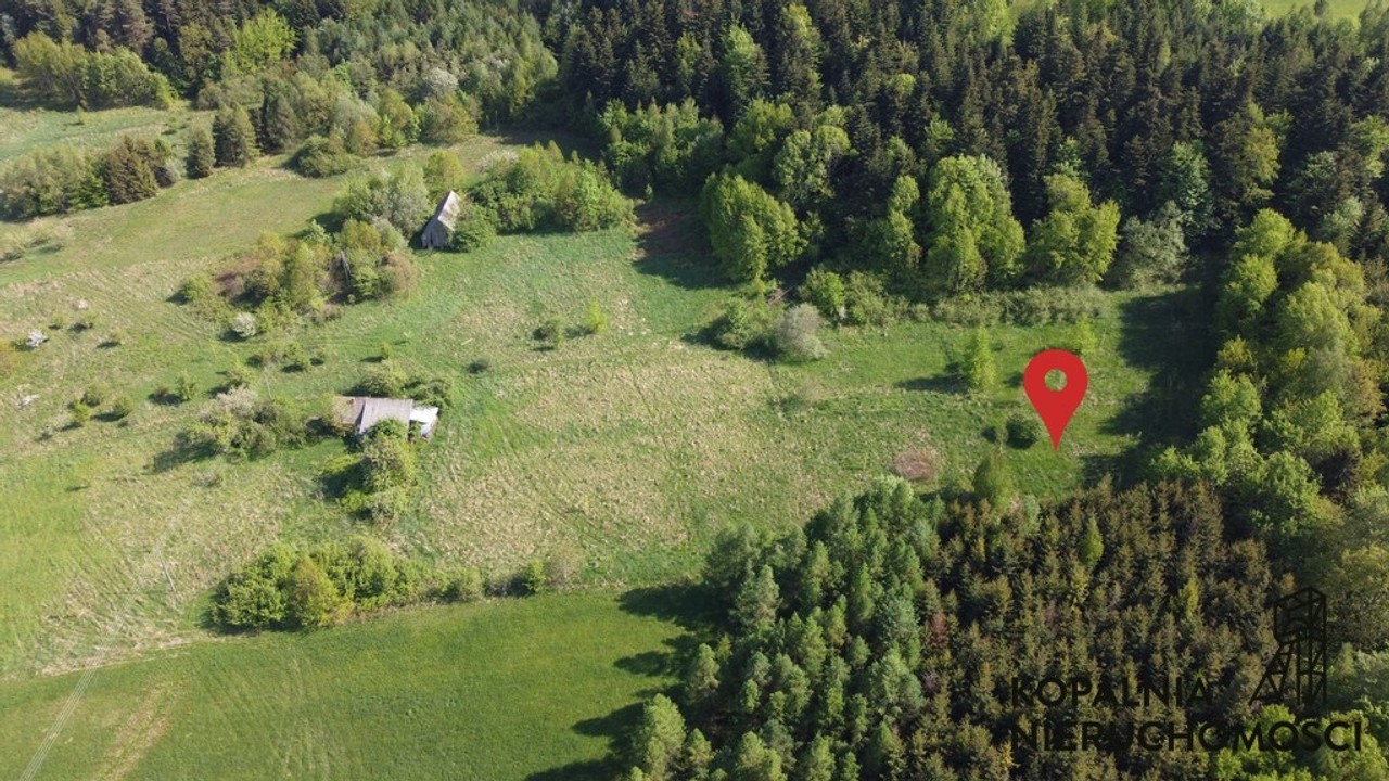Działka Granicząca z Lasem | Grybów – pohled 4
