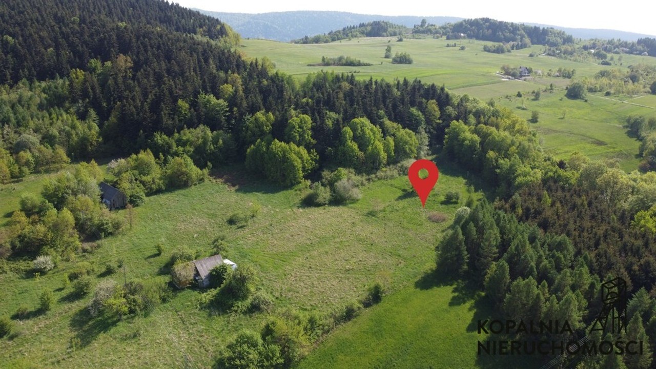 Działka Granicząca z Lasem | Grybów – pohled 6