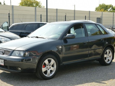 Audi A3 II (8P) Klima sprawna-1