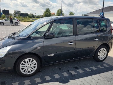 Initiale Paris 2.0 dci 175KM, salon polska, drugi właściciel-1
