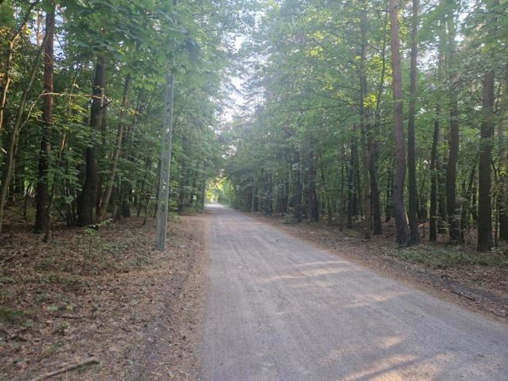 Działka 1800 m² przy lesie | Warunki zabudowy, Tramwajowamazowieckie