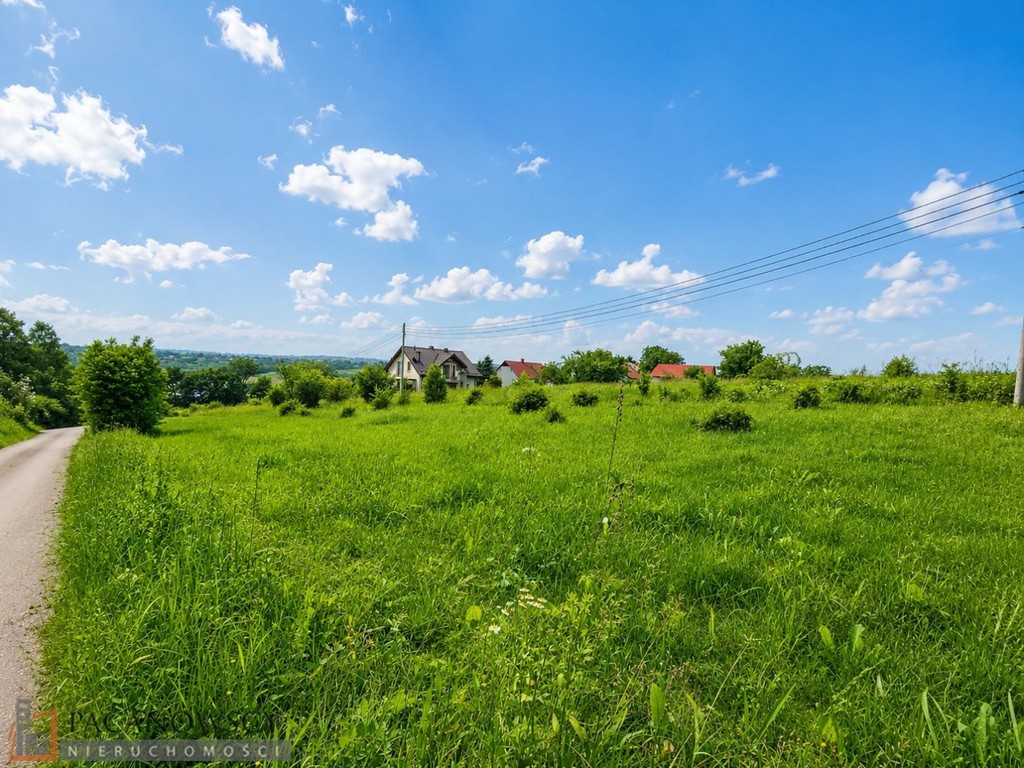 Działka na sprzedaż, 1500 m², Skała Świńczów - Widok 3