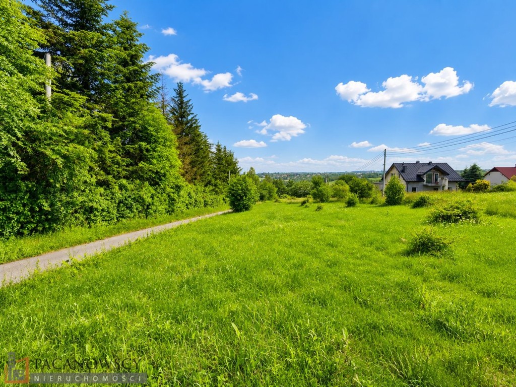 Działka na sprzedaż, 1500 m², Skała Świńczów - Widok 4