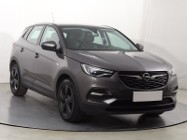 Opel Inny Opel , Salon Polska, Klimatronic, Tempomat, Parktronic