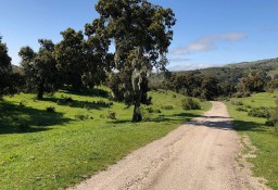 Działka inna Carmel Valley