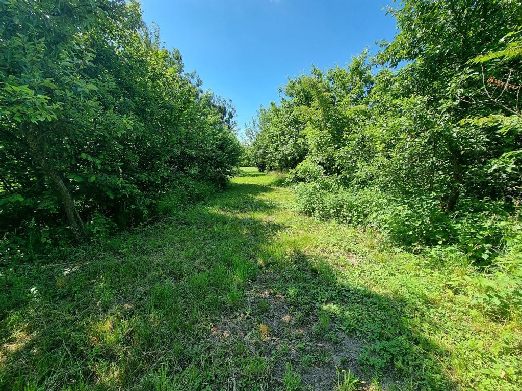 Siedlisko/Dom 80 m²|Działka1,93ha|Putnowice Wielkie - Więcej