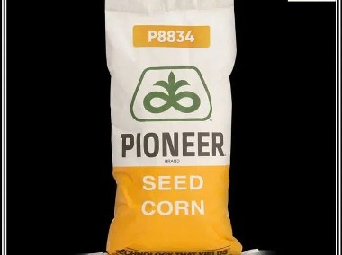 Kukurydza Pioneer - Wszystkie Odmiany - P 8834 P 9074 i inne-1