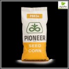 Kukurydza Pioneer - Wszystkie Odmiany - P 8834 P 9074 i inne
