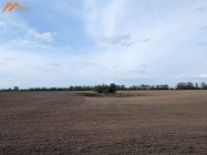 Działka rolna Podlesie