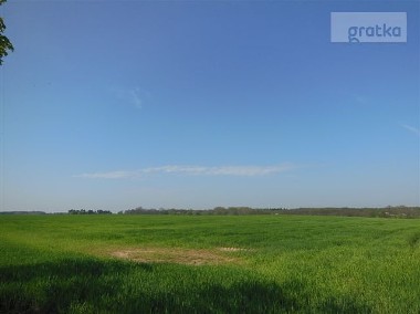 Działka rolna Jankowice, ul. Jankowice Tarnowo Podgórne-1