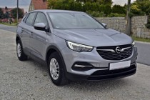 Opel Grandland X Mega Stan/98Tyś/Bezwypadkowy/Ksiązka