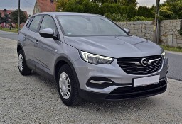 Opel Grandland X Mega Stan/98Tyś/Bezwypadkowy/Ksiązka