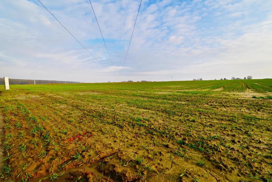 Działka rolno-budowlana - doskonała inwestycja!, lubelski
