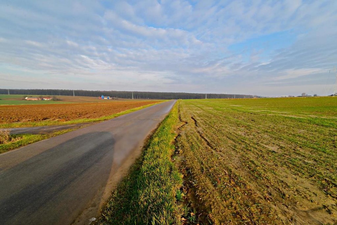 Działka rolno-budowlana - doskonała inwestycja! - Widok 3