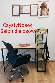 Strzyżenie, czesanie psów -2