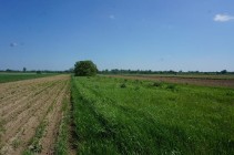 Działka rolna Konstancin-Jeziorna, ul. Łęg