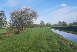 Działka rolna Borek