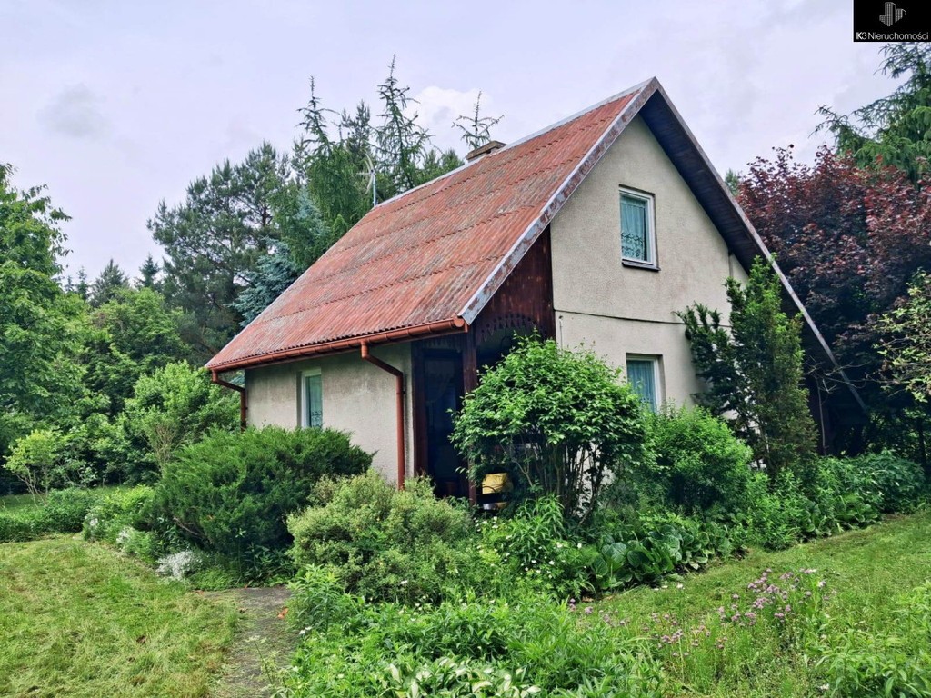 Dom wolnostojący, Jerzyska