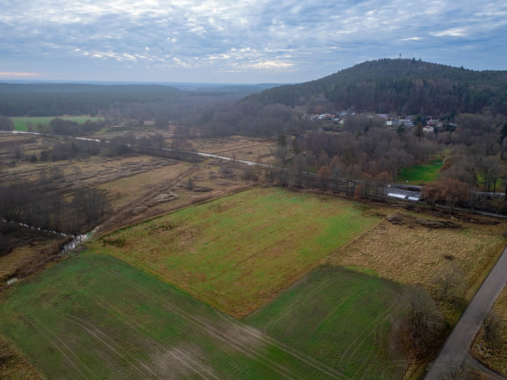 10 działek | Smołdzino | 1200–1600 m² | WZ - Widok 3