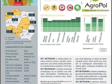 Pszenica Ozima METRONOM Idealna w trudnych warunkach Nasiona Top Farms-2