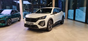 Peugeot 2008 II (2019-)