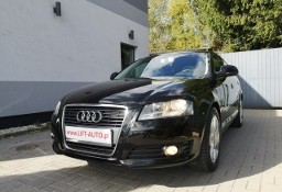 Audi A3 II (8P) 2.0 TDI 140KM Klimatronic Tempomat Halogeny Parktronic Alu 17 Serwis