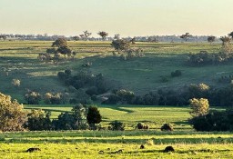 Działka inna Delungra