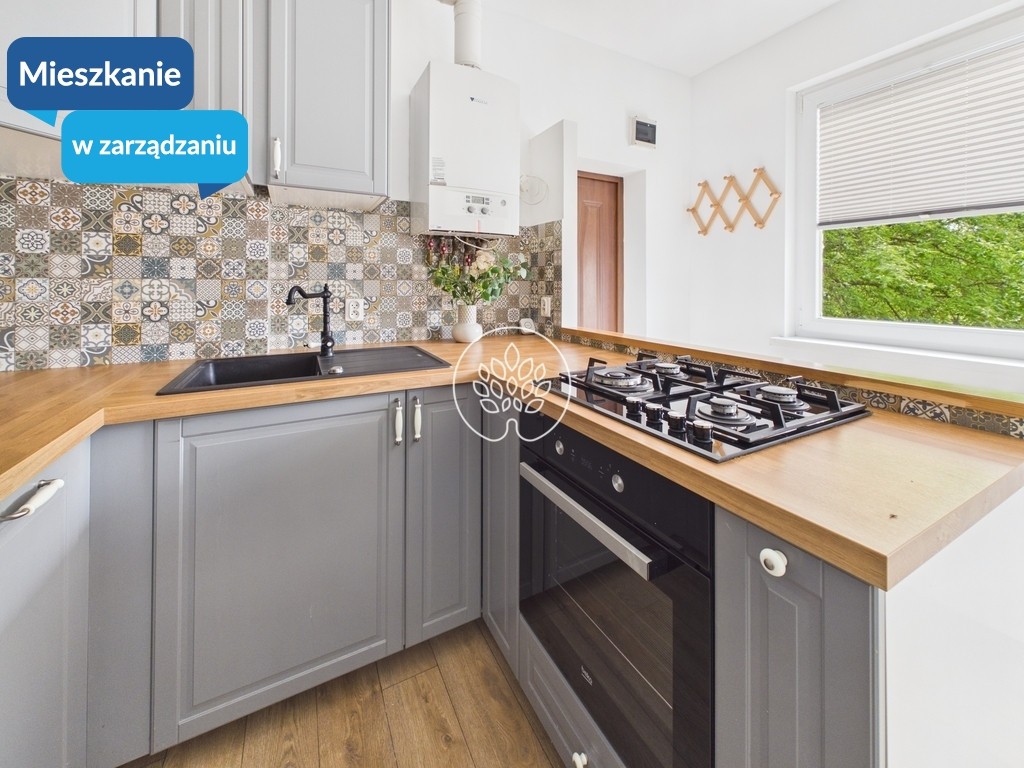 Mieszkanie do wynajęcia, 51 m² Okole, Maksymiliana Jackowskiego