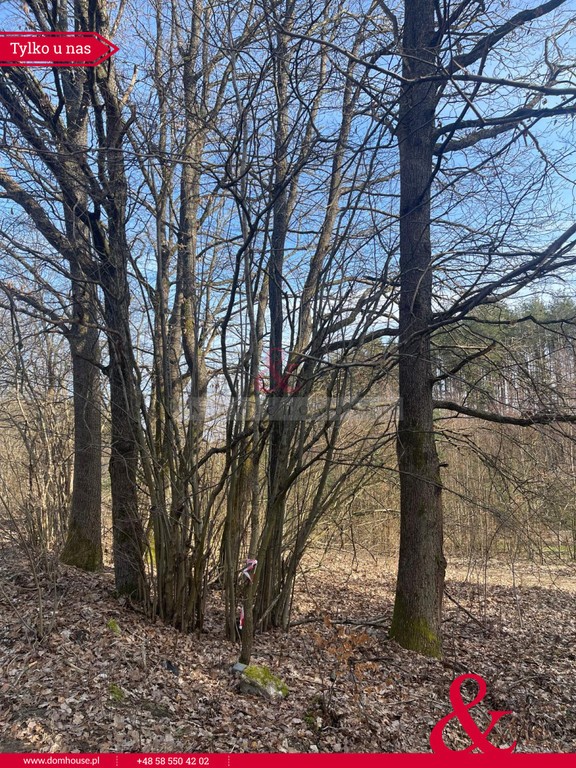 Działka budowlana tuż przy lesie- Twoja oaza - Widok 6