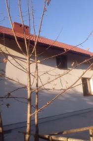 Nowy dom wolnostojący przy lesie Brodnica/Drużyny-2