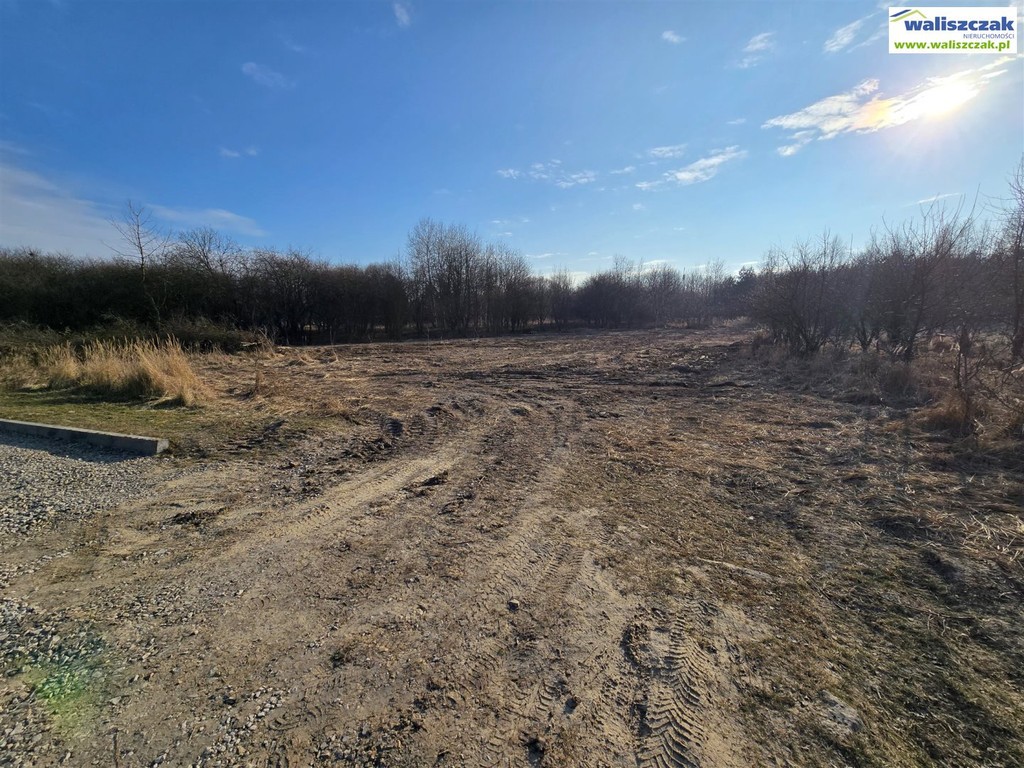 Działka w Piotrkowie Tryb. - Widok 3